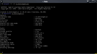 audio codec (lossy and lossless) - encoder and decoder