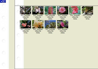 create gallery thumbnails for website