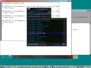 X server in Java