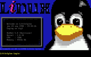 Linux ANSI boot logo