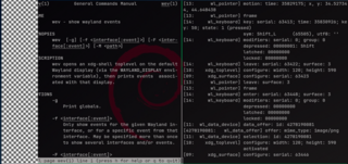 tool for debugging events on a Wayland window