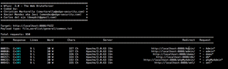 Web application bruteforcer