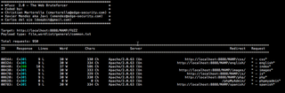 Web application bruteforcer