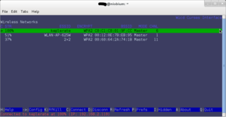 wired and wireless network manager - Curses client