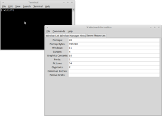 dynamic window information viewer
