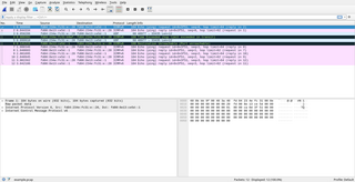 network traffic analyzer - graphical interface