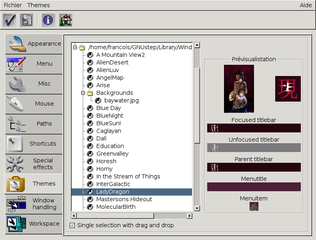 GTK+ based configuration tool for Window Maker