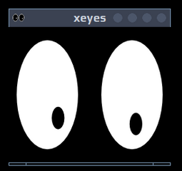 X applications