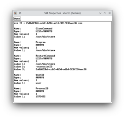X session utilities