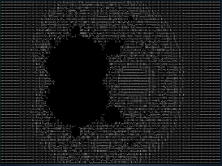 xaos on console using aalib showing function magnet (from version 3.5)