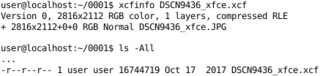 xcfinfo