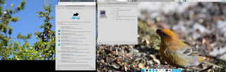 Meta-package for the Xfce Lightweight Desktop Environment