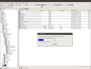 lightweight file manager for X11