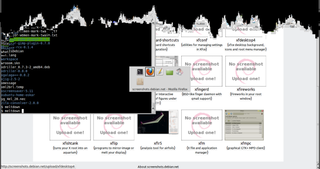 programs to mirror-image or melt your display