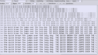 Terminus - fast reading fixed-width PCF fonts for X servers
