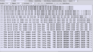 Terminus - fast reading fixed-width PCF fonts for X servers