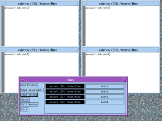 send keyboard input to multiple X11 windows