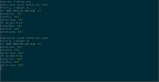 CLI tool to check XMPP SRV records.