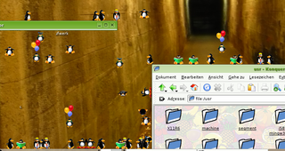 little penguins walk on your windows