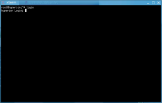 X terminal emulator