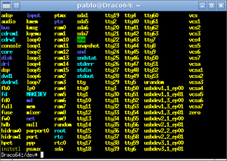 X terminal emulator