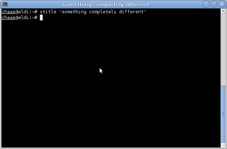 set window title and icon name for X terminal