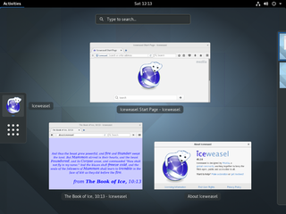 firefox-esr rebranded as Iceweasel, with the rebranded desktop icon and label