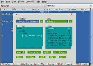 Programming environment and editor for console and X11