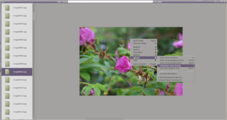 Picture viewer for X with a thumbnail-based selector