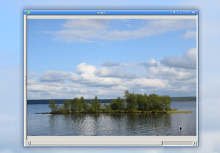 Picture viewer for X with a thumbnail-based selector