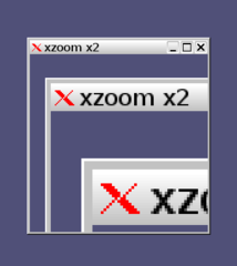 magnify part of X display, with real-time updates