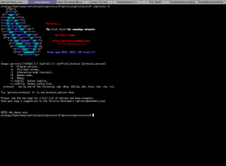 Network vulnerabilities check software