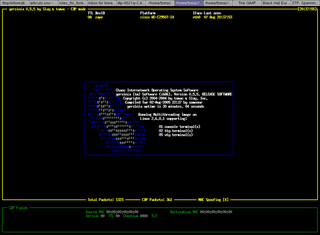 Network vulnerabilities check software