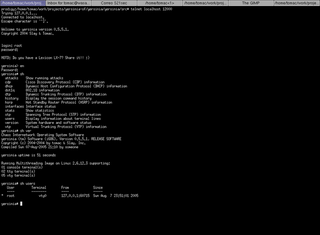 Network vulnerabilities check software