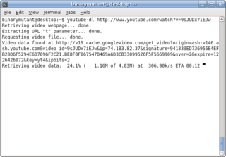 downloader of videos from YouTube and other sites
