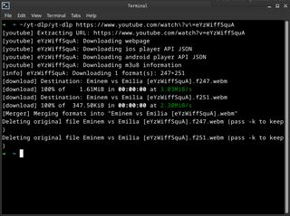 downloader of videos from YouTube and other sites