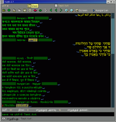 Unicode text editor (arch-dependent binaries)