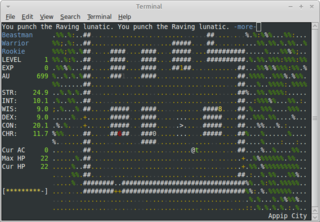 A single-player, text-based, roguelike game