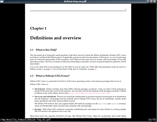 Zathura typical view of a pdf file. File path and current page at the bottom