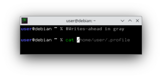 Fish-like fast/unobtrusive autosuggestions for zsh