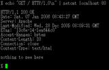 netcat