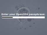 ssh-askpass-fullscreen